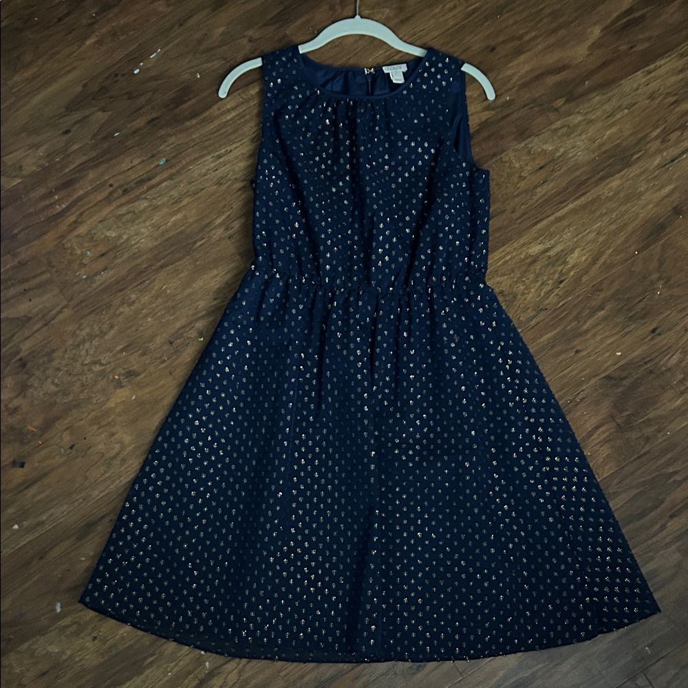 J. Crew Navy Midi Dress
